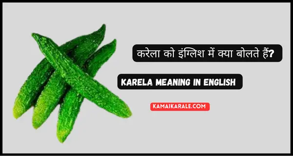 Karela को English में क्या कहते है