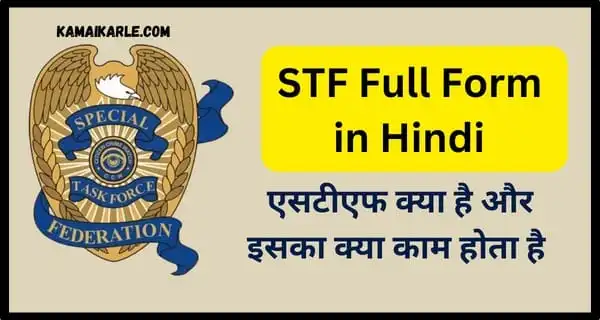 STF Full Form in Hindi