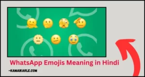 WhatsApp Emojis Meaning in Hindi